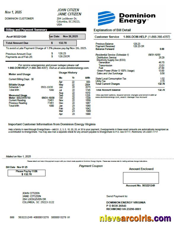 USA Dominion Energy utility bill, version 2